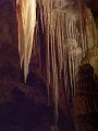 Orient Cave, Jenolan Caves IMGP2437